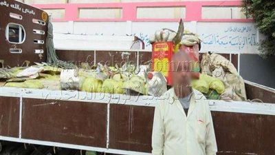 ضبط 2,5 طن أسماك مملحة غير صالحة للإستهلاك الآدمى