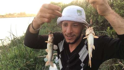 بعد انتشار شائعات حولها.. أسماك الترع لا خوف منها