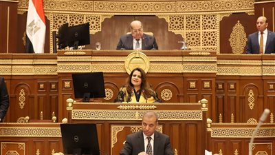 رئيس الشيوخ: نحن في حاجه إلى الدولار لحين استرداد الجنيه عافيته