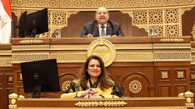 وزير المجالس النيابية: الحكومة استجابت للتقريب بين المصري المقيم في الخليج وأوروبا