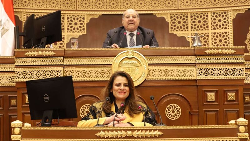 جانب من الجلسة العامة