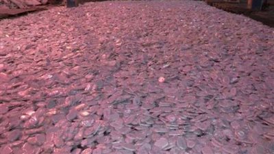 قيمتها 480 مليون جنيه.. إحباط تهريب 6 أطنان حشيش في حاوية بميناء دمياط