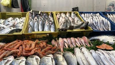 البلطي يسجل 50 جنيها.. استقرار بأسعار السمك اليوم الجمعة بالأسواق