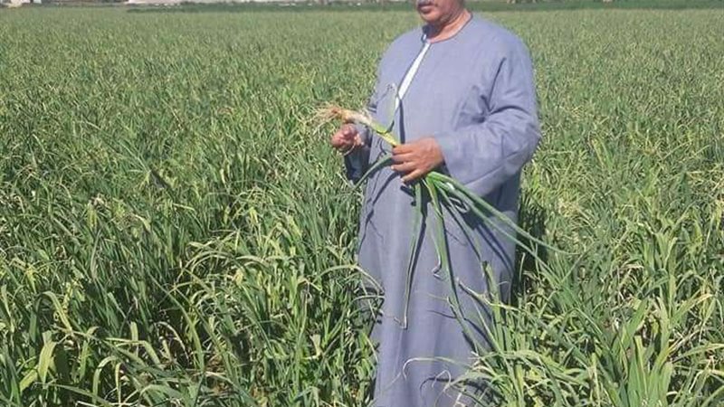 نقيب الفلاحين