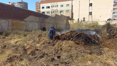 الحماية المدنية تسيطر على حريق هائل بحلفا وبوص بالإسماعيلية