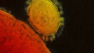 أشد فتكاَ من كورونا..