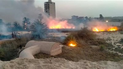 حريق هائل في منطقة زراعية بمحافظة الإسماعيلية