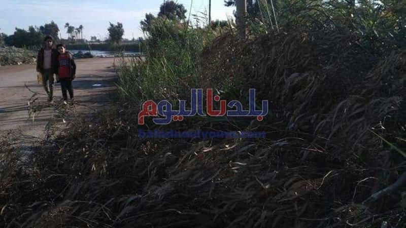 بلدنا اليوم