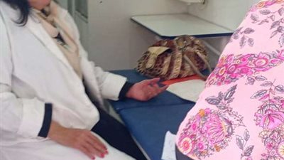 انطلاق القافلة الطبية المجانية للكشف علي ٦٠٠ مواطن في أولى أيامها بالتل الكبير