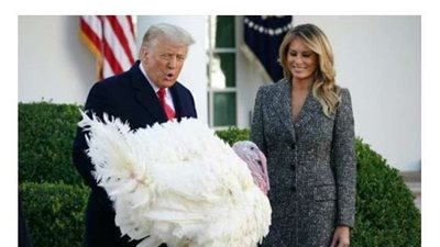 ترامب: انتخابات 2020 مزورة