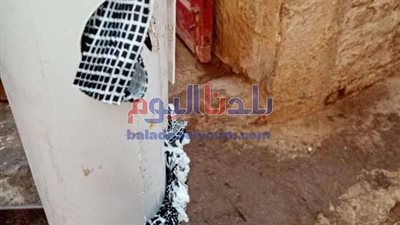 مواطن يغطي أعمدة الإنارة بمواسير بلاستيك بالمحلة (صورة)