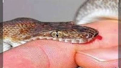 يقظة أم تنقذ طفلها من الموت بـ