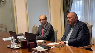 سامح شكرى يُشارك في الاجتماع الوزاري الافتراضى لمنتدى الاقتصادات الكبرى