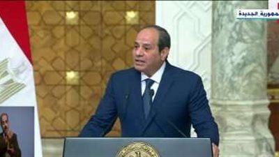 الرئيس السيسي: المباحثات مع رئيسة وزراء الدنمارك تطرقت للعديد من الموضوعات