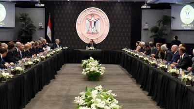 وزير الزراعة : هناك فرص مشتركة للتعاون بين الجانبين المصري والإيطالي في مجال إنتاج البذور