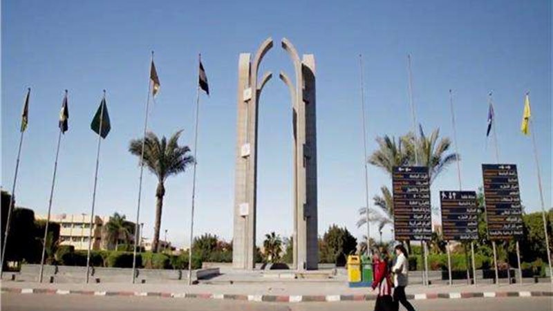 جامعة حلوان