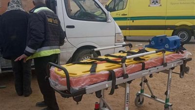 مصرع شقيقين بحادث اصطدام دراجة بخارية بعمود إنارة بسوهاج