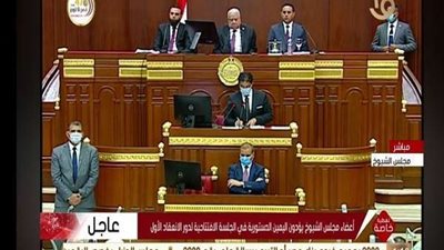 مجلس الشيوخ يوافق على اللائحة الداخلية للمجلس