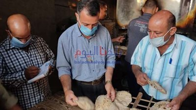 تحرير 29 مخالفة تموينية خلال حملات في المنيا