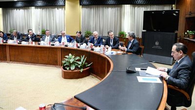 «الملا» يؤكد على أهمية العمل على مزيد من التعاون المشترك بين مصر واليونان