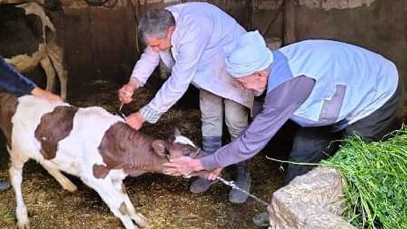 بيطري الشرقية