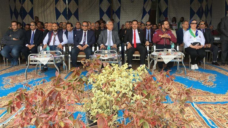 جامعة المنيا