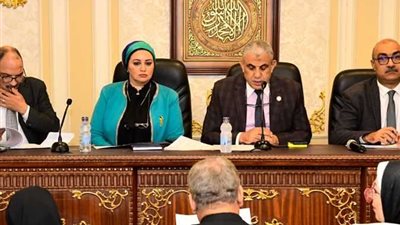 القوى العاملة بمجلس النواب تقرر زيارة شركة النصر للمسبوكات