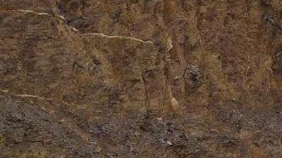 بحوث الصحراء: الطفلة الصحراوية الطريق الأقرب لزراعة الأراضي الغير منتجة.