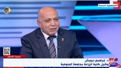 درويش: الدولة تسعى لزيادة إنتاجية وحدة المساحة وتعظيم إنتاجيتها