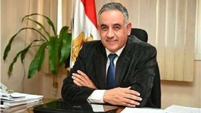 مدير مبادرة 