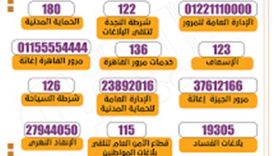 أرقام تهمك.. الطوارئ والخدمات في مصر