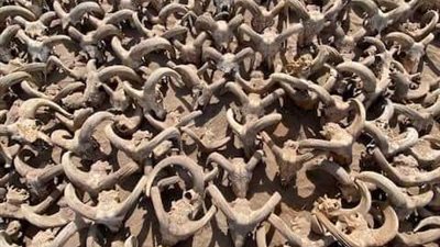 كشف أثري جديد وغامض في أبيدوس