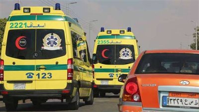 إصابة شخصين في حادث انقلاب تروسيكل بالإسماعيلية