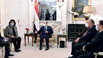 السيسي يستقبل رئيس  شركة 