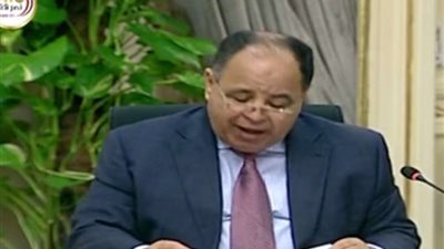 تحصيل 2,9 مليار جنيه ضرائب ورسوم بجمارك «الدخيلة» و«السخنة» في نوفمبر الماضي