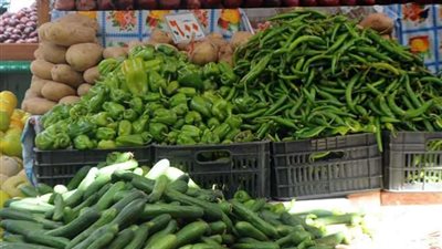 ثبات أسعار الخضروات اليوم الثلاثاء بالأسواق