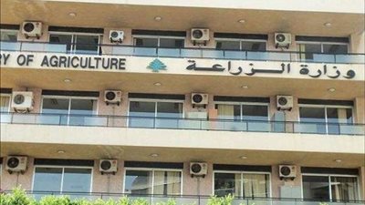 توصيات عاجلة للمزارعين بسبب المنخفض الجوي الأوروبي.. تفاصيل