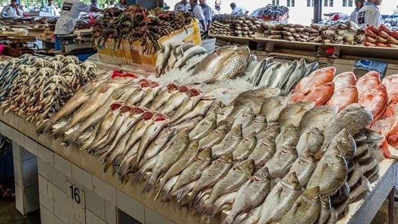 أسعار الأسماك