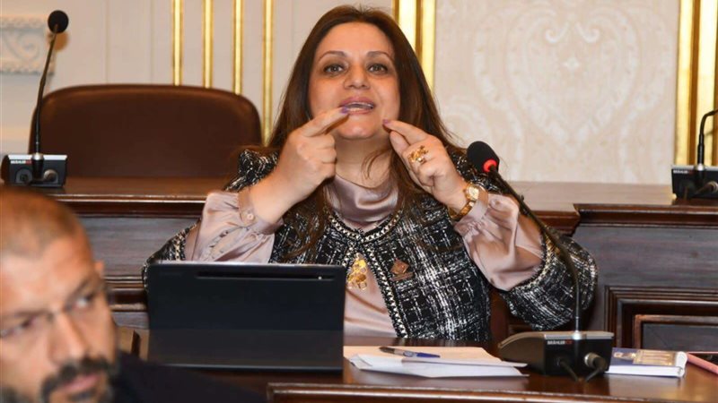 النائبة هيام فاروق