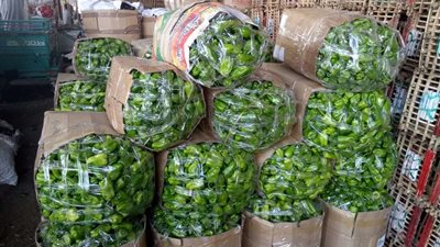 استقرار أسعار الخضروات اليوم الجمعة 31-3-2023