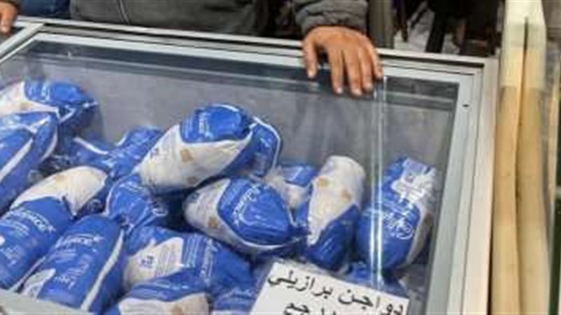دواجن برازيلى