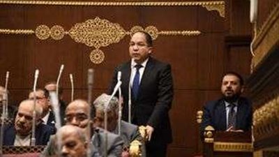 النائب عادل اللمعي: إنجازات مبادرة 