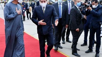 الرئيس السيسي يكشف تفاصيل زيارة محمد بن زايد ولي عهد أبو ظبي.. صور
