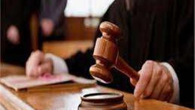 محكمة جنايات  الإسكندرية تستمع للشهود في جريمة قتل متهم  لـ7 من أسرته