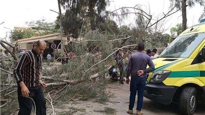 بالأسماء..  إصابة 4 أشخاص في حادث تصادم بالمنيا