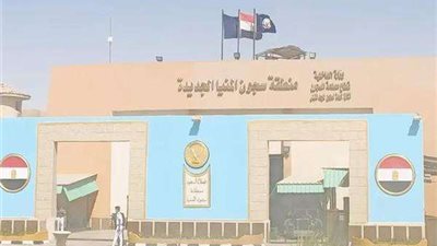 نزيل بمركز إصلاح وتأهيل المنيا يحرض والدته للادعاء بتعرضه لانتهاكات داخل محبسه