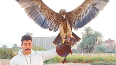 تعرف على الطائر المتوحش الذي استعان به أحمد العوضي في مسلسله 