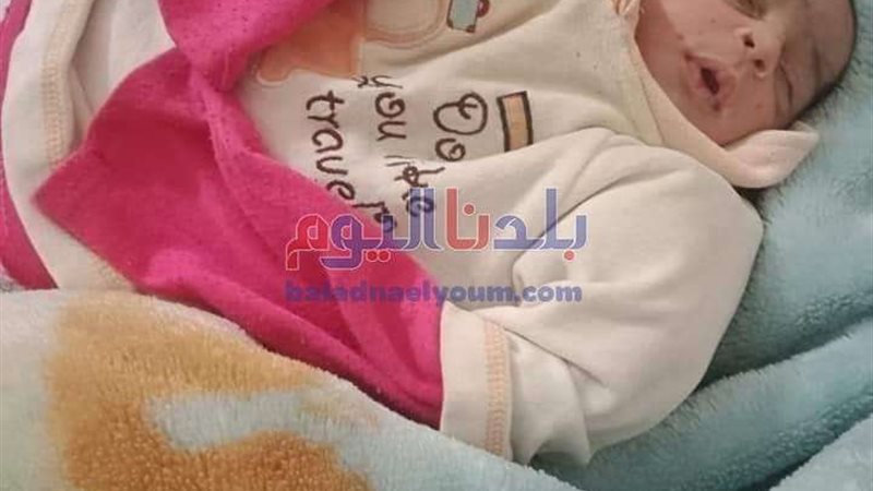 بلدنا اليوم