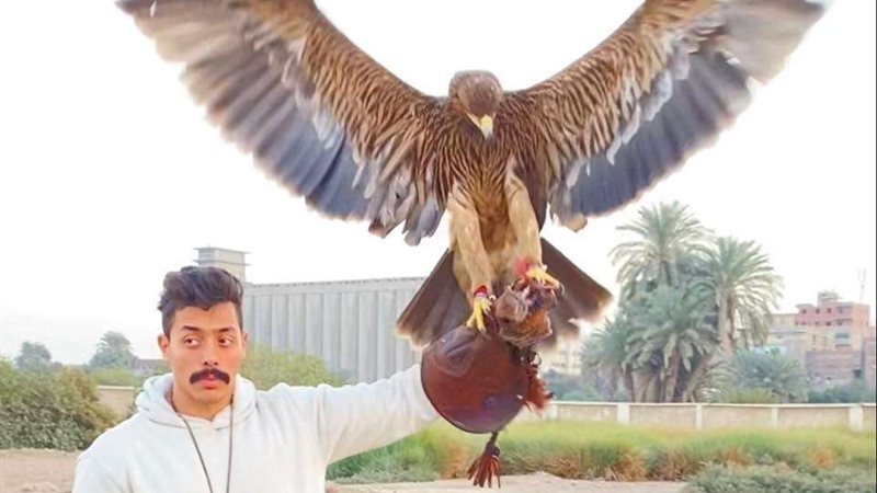 مصطفي النوي مع العقاب
