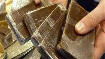 ضبط 3 أشخاص بحوزتهم 120 طربة لمخدر الحشيش بالدقهلية